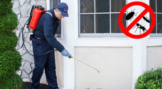 Eskifoça Tahtakurusu İlaçlama böcek ilaçlama ve haşere kontrolü — ilaclama-tr.com